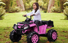 Cargar imagen en el visor de la galería, Cuatrimoto Monster Trx Pink